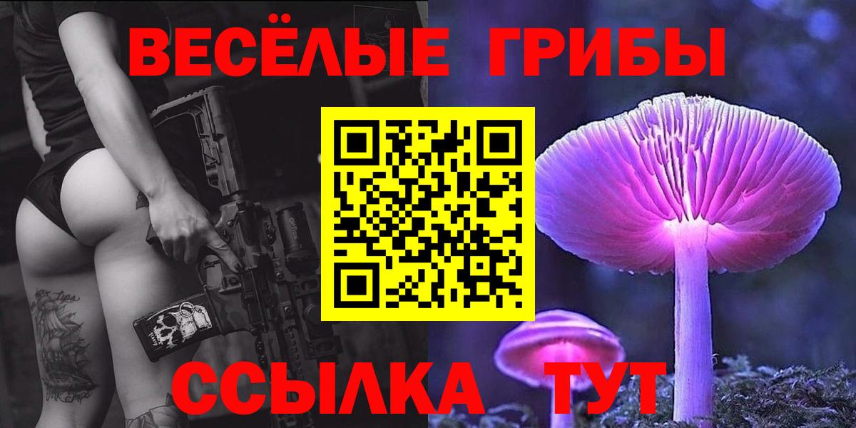 Галлюциногенные грибы Magic Shrooms  Галлюциногенные грибы Cubensis  Вход с VPN  Норильск 