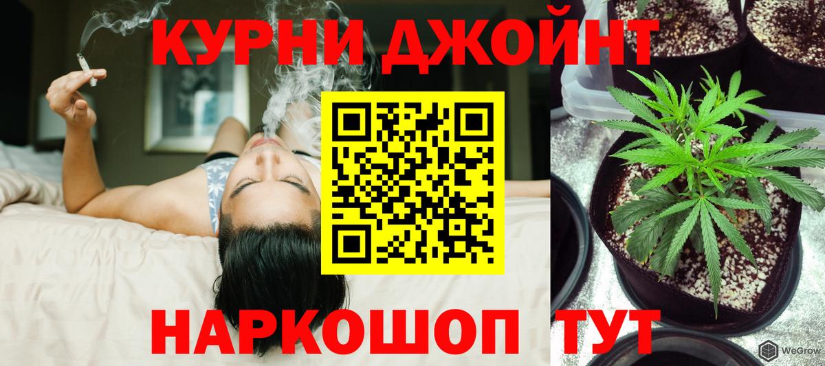 Конопля OG Kush Норильск